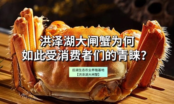 洪泽湖大闸蟹为何如此受消费者们的青睐？
